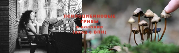 экстази Бородино