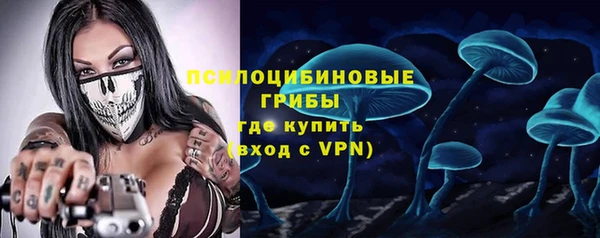 экстази Бородино