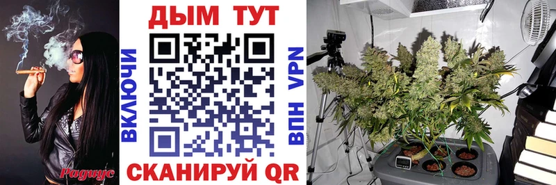 Бошки марихуана Ganja  Кола 